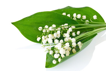 Similar image 722012