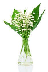 Similar image 722015