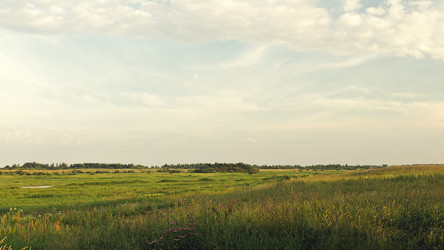 Similar image 722046