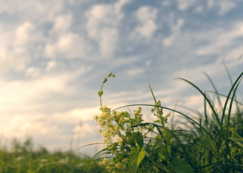 Similar image 722047