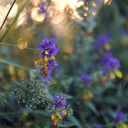 Similar image 722049