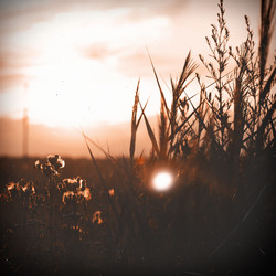 Similar image 722061