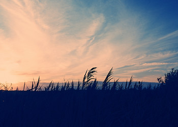 Similar image 722066