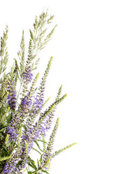 Similar image 722105