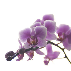 Similar image 722112