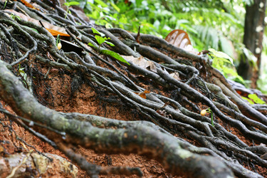 Similar image 722117