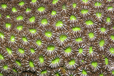 Similar image 722128