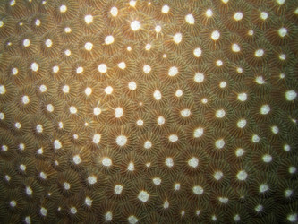 Similar image 722136