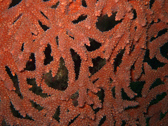 Similar image 722147