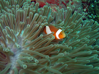 Similar image 722151