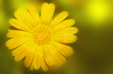 Similar image 722155