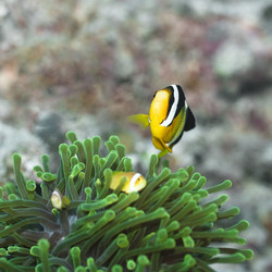 Similar image 722156