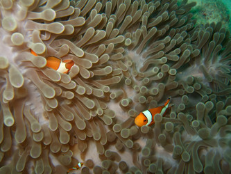 Similar image 722157