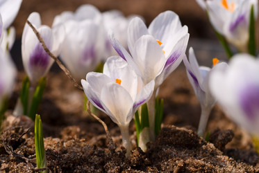 Similar image 722161