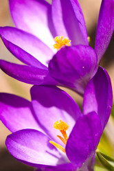 Similar image 722162