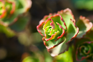 Similar image 722164