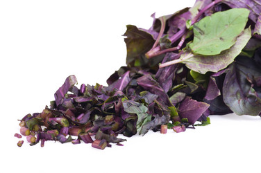 Similar image 722171