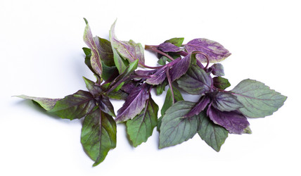 Similar image 722172