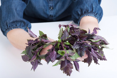 Similar image 722179