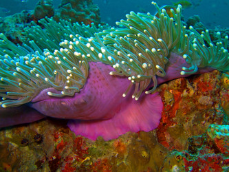 Similar image 722182