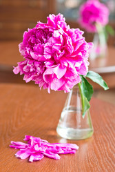 Similar image 722190