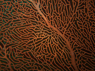 Similar image 722191