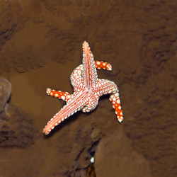 Similar image 722201