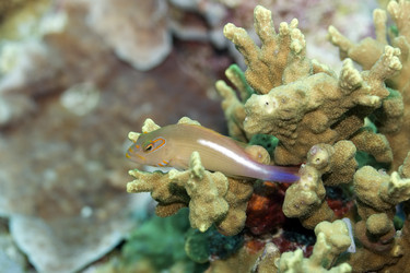 Similar image 722219