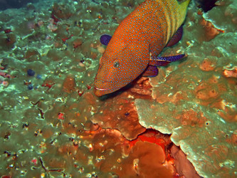 Similar image 722224