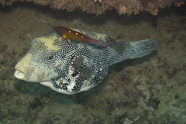 Similar image 722234