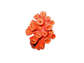 Similar image 722244