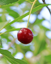 Similar image 722284