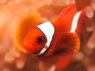 Similar image 722285