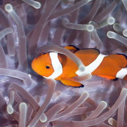 Similar image 722286