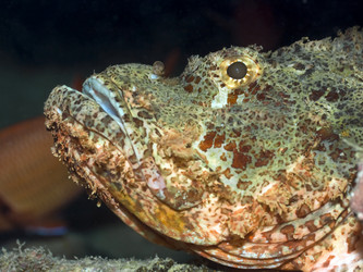 Similar image 722295