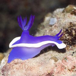 Similar image 722298