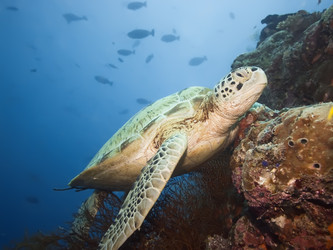 Similar image 722302