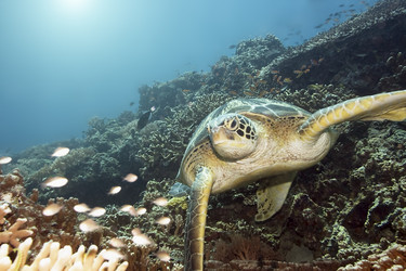 Similar image 722303