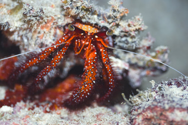 Similar image 722310