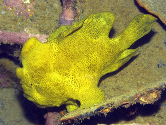 Similar image 722311