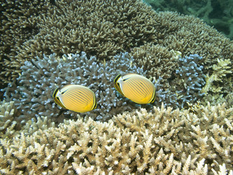 Similar image 722317