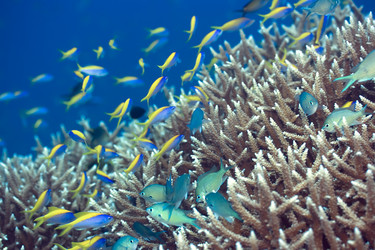 Similar image 722319