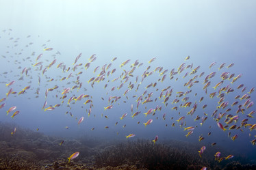 Similar image 722322