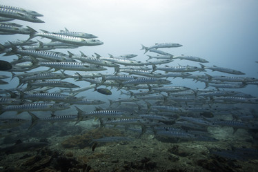 Similar image 722323