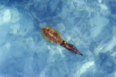 Similar image 722324