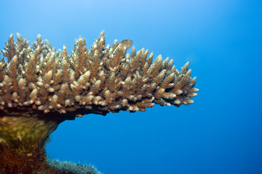 Similar image 722327