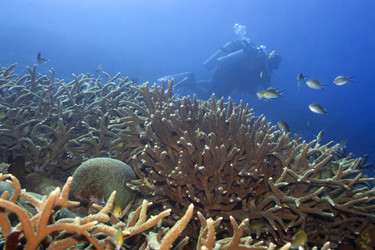 Similar image 722329