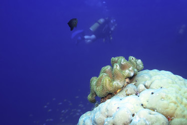 Similar image 722343