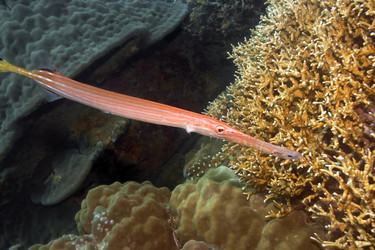 Similar image 722345