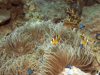 Similar image 722346